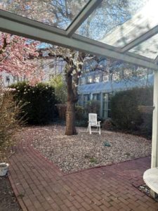 Hinterhof 3