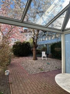 Hinterhof