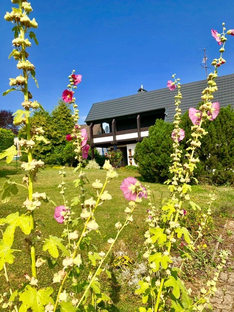 Hausansicht1