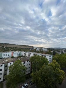 Ausblick vorne